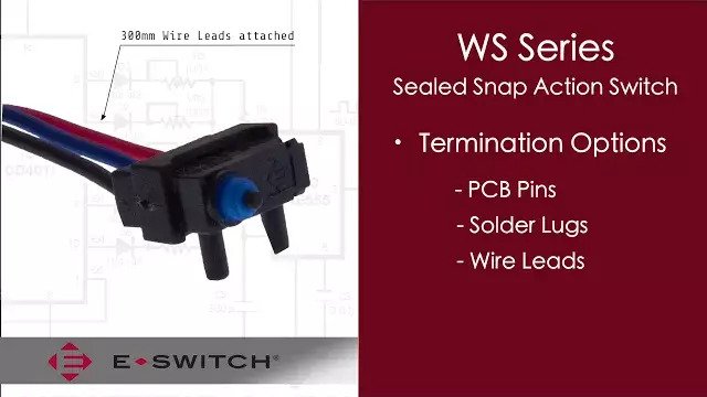 E-Switch-WS Series Sealed Snap Action Switch