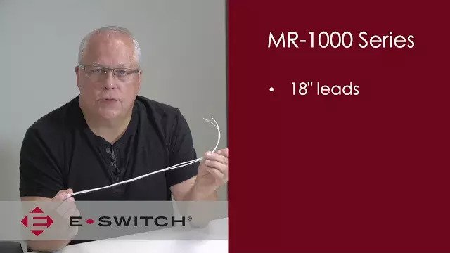 MR1000 Series Detector Switch